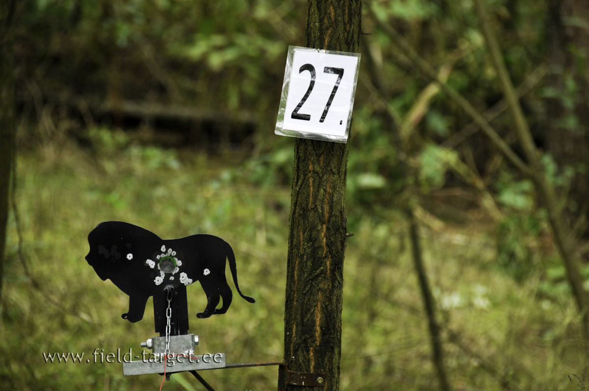 Lõvisid võib üritada lasta ka pähe. Tabamisala 25 mm ja 20 m kaugusel